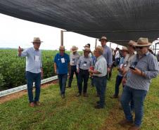 Eventos técnicos do agronegócio divulgam inovações no Norte do Paraná