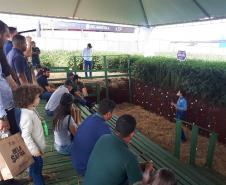 Eventos técnicos do agronegócio divulgam inovações no Norte do Paraná
