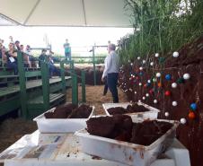 Eventos técnicos do agronegócio divulgam inovações no Norte do Paraná