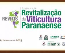 Programa de apoio à produção de uvas e derivados no Paraná reforça ações em 2023