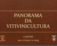 Programa de apoio à produção de uvas e derivados no Paraná reforça ações em 2023