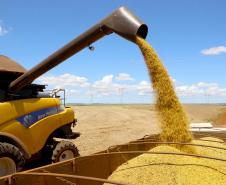 Com 22,18 milhões de toneladas estimadas, Paraná pode colher maior safra de soja da história