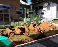 Eventos na ExpoLondrina discutem sustentabilidade na agropecuária