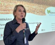 Enfezamento do milho tem rede de pesquisa no Paraná