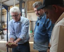 Cooperação, assistência técnica e sucessão familiar fortalecem a cafeicultura do Paraná