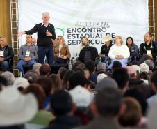 Governo do Paraná prepara concurso para estimular produção de seda
