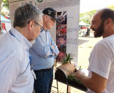 Eventos em Campo Mourão incentivam a produção orgânica e a segurança alimentar