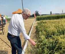 Estado reforça convite para municípios aderirem a sistema que elimina limites para venda de produtos agroindustrializados 