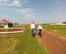 Estado reforça convite para municípios aderirem a sistema que elimina limites para venda de produtos agroindustrializados 