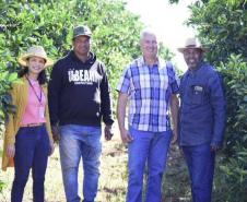 Artigo mostra benefícios sociais e econômicos do crédito fundiário no Noroeste do Paraná