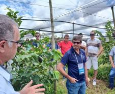 Turismo rural técnico-científico do Paraná atrai visitantes estrangeiros