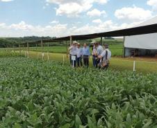 Eventos no Norte e Centro-Oeste discutem tecnologia e da inovação no agro