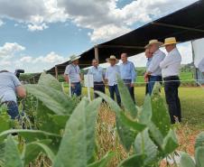 Eventos no Norte e Centro-Oeste discutem tecnologia e da inovação no agro