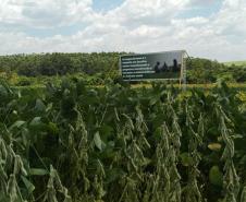 Eventos no Norte e Centro-Oeste discutem tecnologia e da inovação no agro