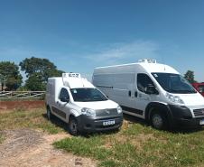 Agricultores familiares de Paiçandu inovam com produção de farofa de batata-doce