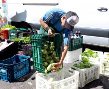 Programa Compra Direta Paraná inicia as primeiras entregas de alimentos