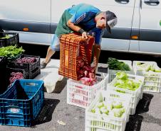 Programa Compra Direta Paraná inicia as primeiras entregas de alimentos