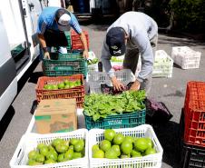 Programa Compra Direta Paraná inicia as primeiras entregas de alimentos