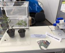 Adapar leva à ExpoLondrina 2024 programação sobre combate ao greening e biosseguridade na avicultura