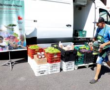 Paraná é o segundo estado com maior segurança alimentar do Brasil, aponta IBGE