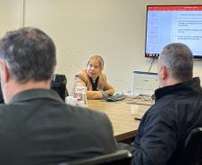 Grupo de Trabalho discute ações para prevenção e monitoramento da nova vespa-da-madeira