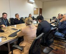 Grupo de Trabalho discute ações para prevenção e monitoramento da nova vespa-da-madeira
