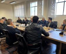 Grupo de Trabalho discute ações para prevenção e monitoramento da nova vespa-da-madeira