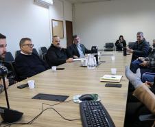 Grupo de Trabalho discute ações para prevenção e monitoramento da nova vespa-da-madeira