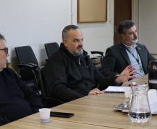 Grupo de Trabalho discute ações para prevenção e monitoramento da nova vespa-da-madeira