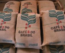 Paraná pode produzir até 750 mil sacas de café em 172 municípios em 2024, aponta boletim