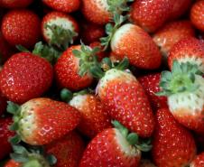 morango