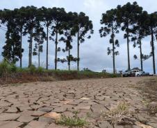 Estado inaugura pavimentação de duas estradas rurais em Mariópolis