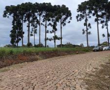 Estado inaugura pavimentação de duas estradas rurais em Mariópolis