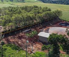 Produção de biogás a partir da suinocultura gera renda extra para produtores do Paraná