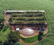 Produção de biogás a partir da suinocultura gera renda extra para produtores do Paraná
