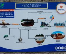 Produção de biogás a partir da suinocultura gera renda extra para produtores do Paraná