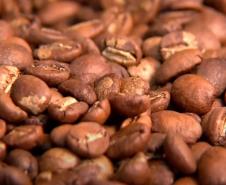 Inscrições para o Concurso Café Qualidade Paraná vão até 30 de setembro