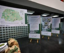 Em comemoração aos 80 anos de história, Secretaria da Agricultura lança exposição no Arquivo Público do Paraná