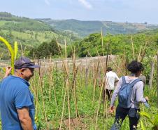 MDS e Funai fazem visita de monitoramento ao Programa de Aquisição de Alimentos para indígenas no Paraná