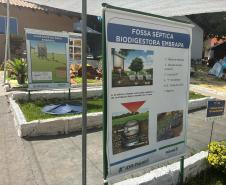 expolondrina