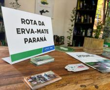 expolondrina