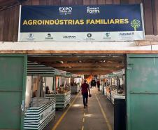 expolondrina