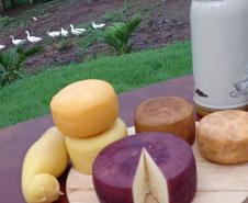queijo