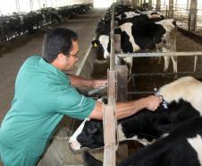 Dia 15 encerra o prazo para os produtores regularizarem sua situação