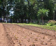 Hortas Comunitárias inaugura primeira unidade em Curitiba