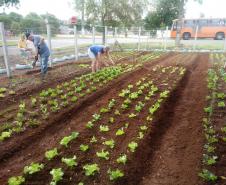 Programa Hortas Comunitárias inaugura segunda unidade