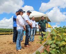 Agricultura vai fortalecer relação entre governo e o campo 