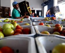 Paraná inicia programa para reduzir desperdício de alimentos
