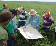 A adoção da técnica reduz em 50% as aplicações de inseticidas, o que contribui para a preservação do meio ambiente e menos intoxicação de agricultores.