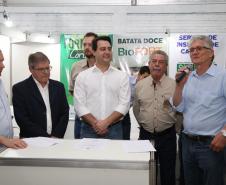 Governador no Show Pecuário